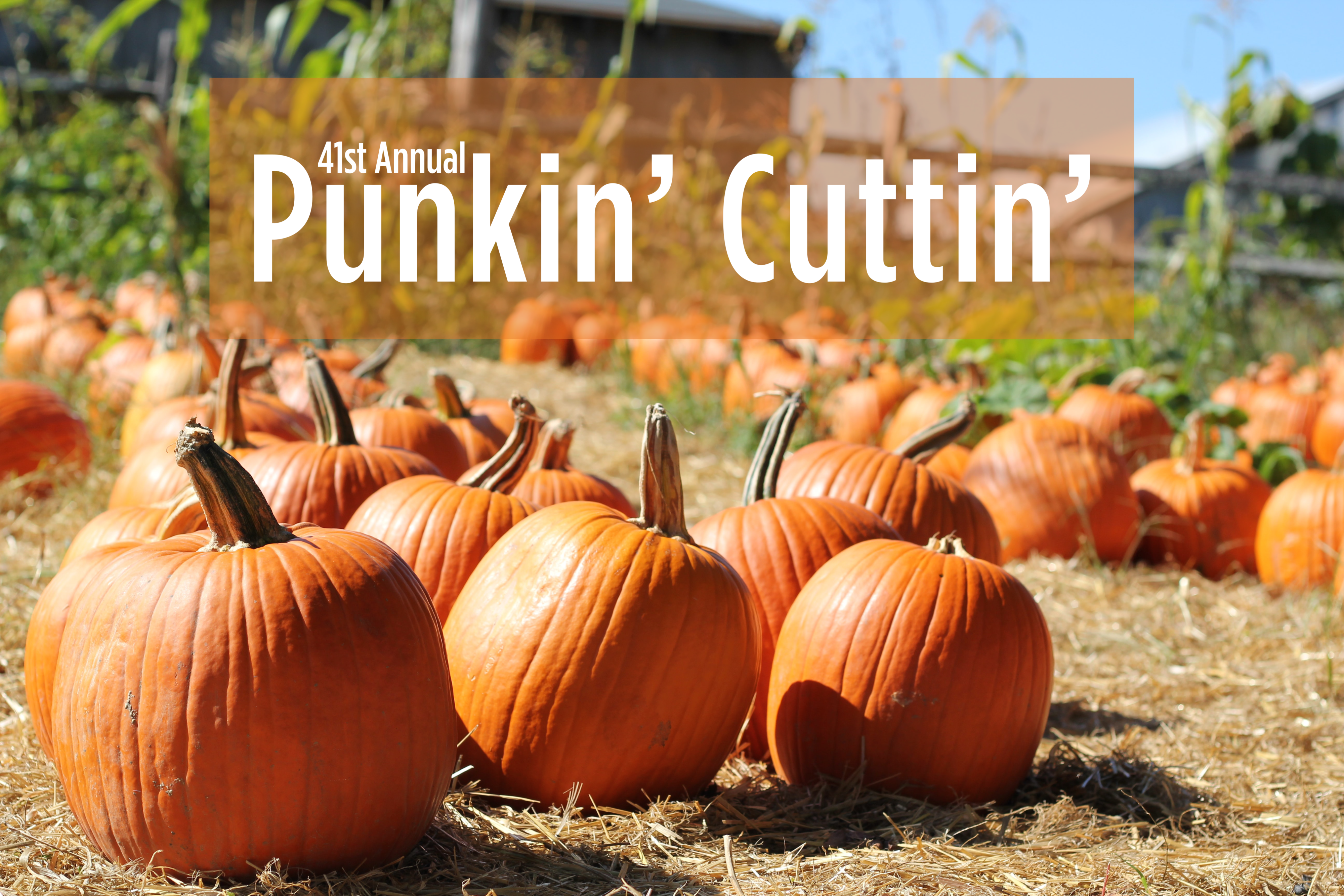 Carving Out Tradition